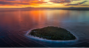 New-web-site-back-ground-Tavarua-300x162