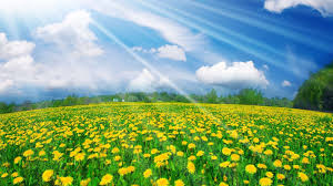 spring-3
